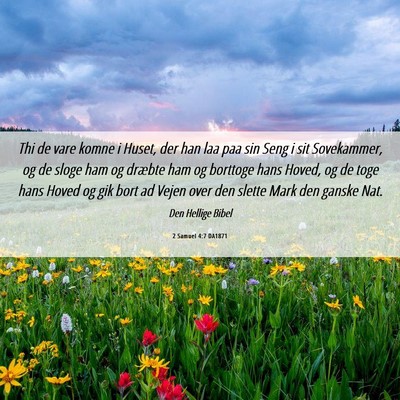 Picture 06 - 2 Samuel 4:7 DA1871 - Thi de vare komne i Huset, der han laa paa sin - Bible Verse Picture