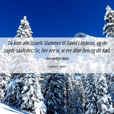 Picture 06 - 2 Samuel 5:1 DA1871 - Da kom alle Israels Stammer til David i Hebron, - Bible Verse Picture