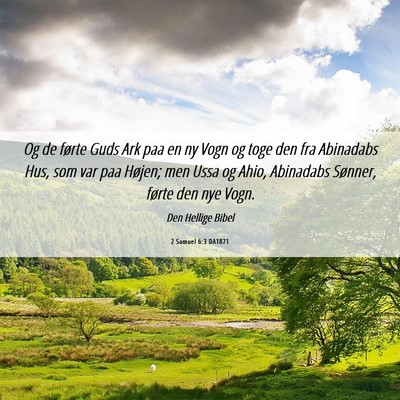 Picture 06 - 2 Samuel 6:3 DA1871 - Og de førte Guds Ark paa en ny Vogn og toge den - Bible Verse Picture