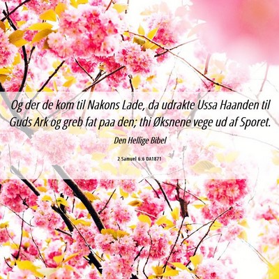 Picture 06 - 2 Samuel 6:6 DA1871 - Og der de kom til Nakons Lade, da udrakte Ussa - Bible Verse Picture