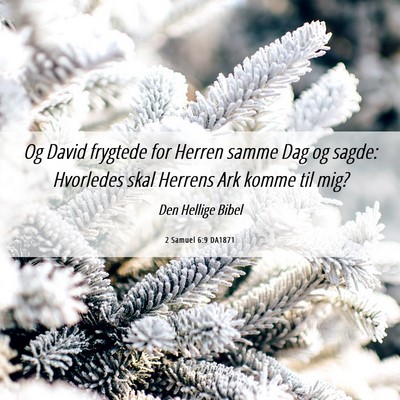 Picture 06 - 2 Samuel 6:9 DA1871 - Og David frygtede for Herren samme Dag og sagde: - Bible Verse Picture