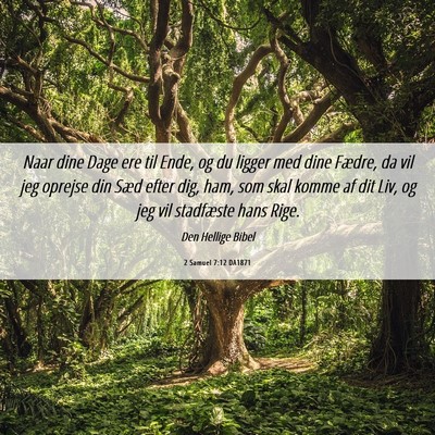 Picture 06 - 2 Samuel 7:12 DA1871 - Naar dine Dage ere til Ende, og du ligger med - Bible Verse Picture