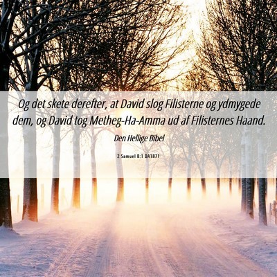 Picture 06 - 2 Samuel 8:1 DA1871 - Og det skete derefter, at David slog Filisterne - Bible Verse Picture