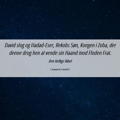 Picture 06 - 2 Samuel 8:3 DA1871 - David slog og Hadad-Eser, Rekobs Søn, Kongen i - Bible Verse Picture
