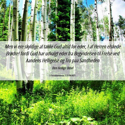 Picture 06 - 2 Tessalonikerne 2:13 DA1871 - Men vi ere skyldige at takke Gud altid for eder, - Bible Verse Picture