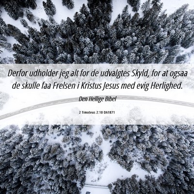 Picture 06 - 2 Timoteus 2:10 DA1871 - Derfor udholder jeg alt for de udvalgtes Skyld, - Bible Verse Picture