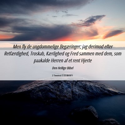 Picture 06 - 2 Timoteus 2:22 DA1871 - Men fly de ungdommelige Begæringer; jag derimod - Bible Verse Picture