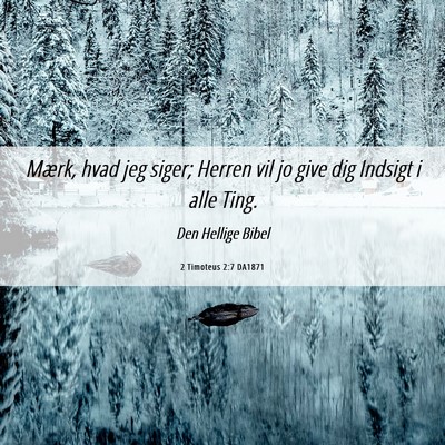 Picture 06 - 2 Timoteus 2:7 DA1871 - Mærk, hvad jeg siger; Herren vil jo give dig - Bible Verse Picture