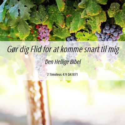 Picture 06 - 2 Timoteus 4:9 DA1871 - Gør dig Flid for at komme snart til - Bible Verse Picture