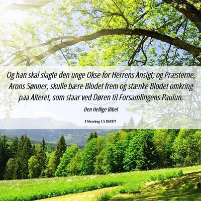 Picture 06 - 3 Mosebog 1:5 DA1871 - Og han skal slagte den unge Okse for Herrens - Bible Verse Picture