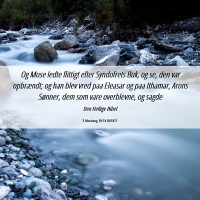 Picture 06 - 3 Mosebog 10:16 DA1871 - Og Mose ledte flittigt efter Syndofrets Buk, og - Bible Verse Picture