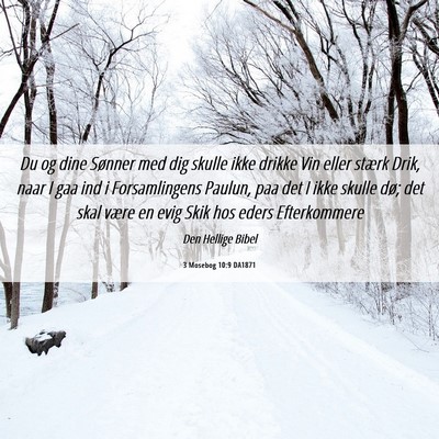 Picture 06 - 3 Mosebog 10:9 DA1871 - Du og dine Sønner med dig skulle ikke drikke Vin - Bible Verse Picture