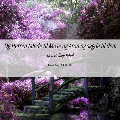 Picture 06 - 3 Mosebog 11:1 DA1871 - Og Herren talede til Mose og Aron og sagde til - Bible Verse Picture