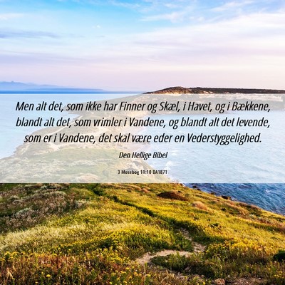 Picture 06 - 3 Mosebog 11:10 DA1871 - Men alt det, som ikke har Finner og Skæl, i - Bible Verse Picture