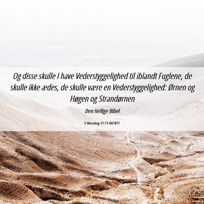 Picture 06 - 3 Mosebog 11:13 DA1871 - Og disse skulle I have Vederstyggelighed til - Bible Verse Picture