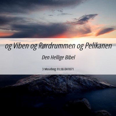Picture 06 - 3 Mosebog 11:18 DA1871 - og Viben og Rørdrummen og - Bible Verse Picture