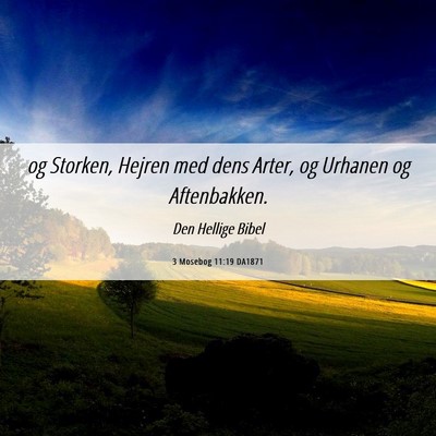 Picture 06 - 3 Mosebog 11:19 DA1871 - og Storken, Hejren med dens Arter, og Urhanen og - Bible Verse Picture