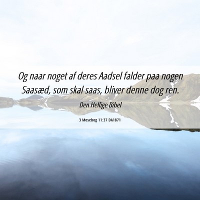 Picture 06 - 3 Mosebog 11:37 DA1871 - Og naar noget af deres Aadsel falder paa nogen - Bible Verse Picture