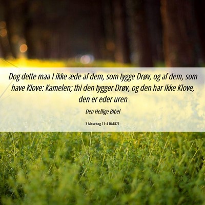 Picture 06 - 3 Mosebog 11:4 DA1871 - Dog dette maa I ikke æde af dem, som tygge - Bible Verse Picture