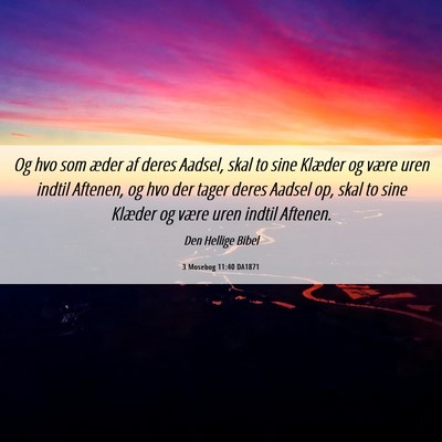 Picture 06 - 3 Mosebog 11:40 DA1871 - Og hvo som æder af deres Aadsel, skal to sine - Bible Verse Picture