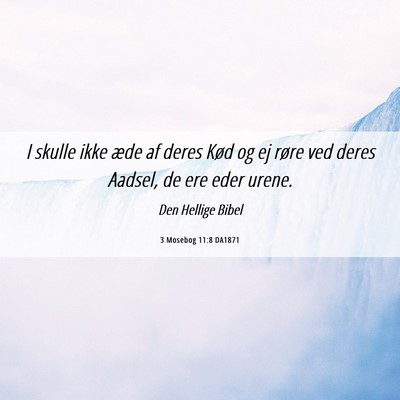 Picture 06 - 3 Mosebog 11:8 DA1871 - I skulle ikke æde af deres Kød og ej røre ved - Bible Verse Picture