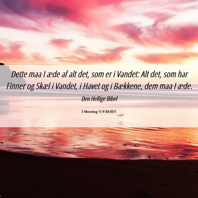 Picture 06 - 3 Mosebog 11:9 DA1871 - Dette maa I æde af alt det, som er i Vandet: Alt - Bible Verse Picture