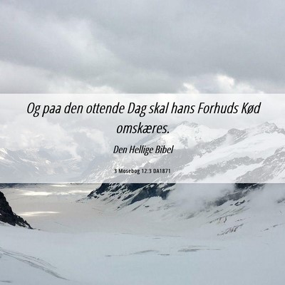 Picture 06 - 3 Mosebog 12:3 DA1871 - Og paa den ottende Dag skal hans Forhuds Kød - Bible Verse Picture