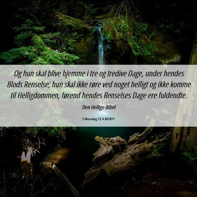 Picture 06 - 3 Mosebog 12:4 DA1871 - Og hun skal blive hjemme i tre og tredive Dage, - Bible Verse Picture