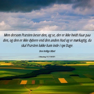 Picture 06 - 3 Mosebog 13:21 DA1871 - Men dersom Præsten beser den, og se, der er ikke - Bible Verse Picture