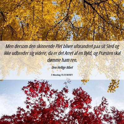 Picture 06 - 3 Mosebog 13:23 DA1871 - Men dersom den skinnende Plet bliver uforandret - Bible Verse Picture