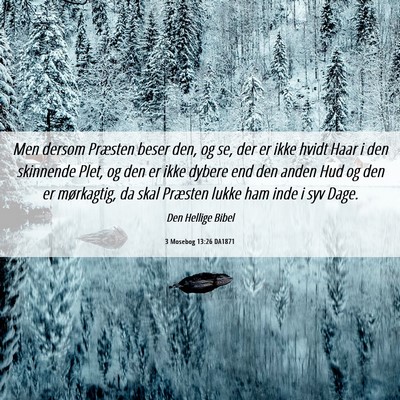 Picture 06 - 3 Mosebog 13:26 DA1871 - Men dersom Præsten beser den, og se, der er ikke - Bible Verse Picture