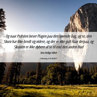 Picture 06 - 3 Mosebog 13:32 DA1871 - Og naar Præsten beser Plagen paa den syvende - Bible Verse Picture