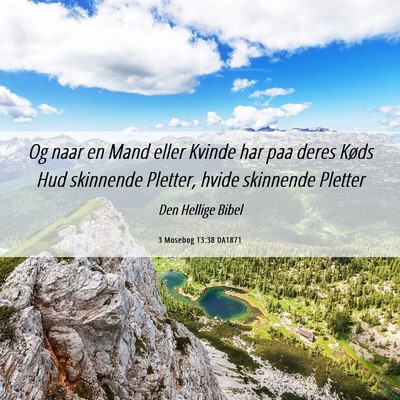 Picture 06 - 3 Mosebog 13:38 DA1871 - Og naar en Mand eller Kvinde har paa deres Køds - Bible Verse Picture