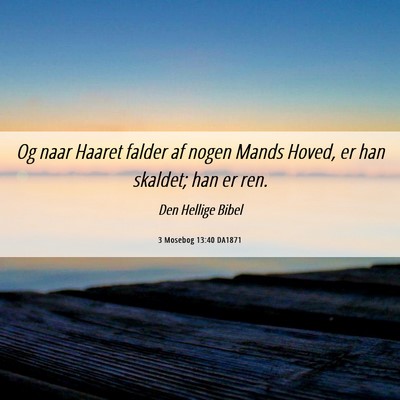 Picture 06 - 3 Mosebog 13:40 DA1871 - Og naar Haaret falder af nogen Mands Hoved, er - Bible Verse Picture