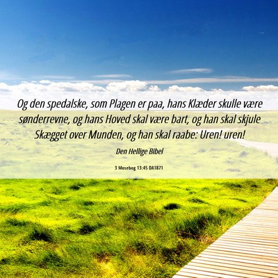 Picture 06 - 3 Mosebog 13:45 DA1871 - Og den spedalske, som Plagen er paa, hans Klæder - Bible Verse Picture