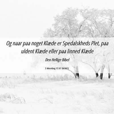 Picture 06 - 3 Mosebog 13:47 DA1871 - Og naar paa noget Klæde er Spedalskheds Plet, - Bible Verse Picture
