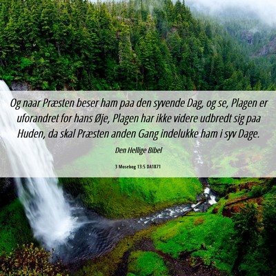 Picture 06 - 3 Mosebog 13:5 DA1871 - Og naar Præsten beser ham paa den syvende Dag, - Bible Verse Picture