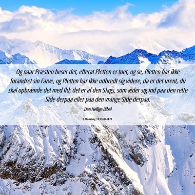 Picture 06 - 3 Mosebog 13:55 DA1871 - Og naar Præsten beser det, efterat Pletten er - Bible Verse Picture