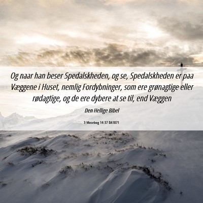 Picture 06 - 3 Mosebog 14:37 DA1871 - Og naar han beser Spedalskheden, og se, - Bible Verse Picture