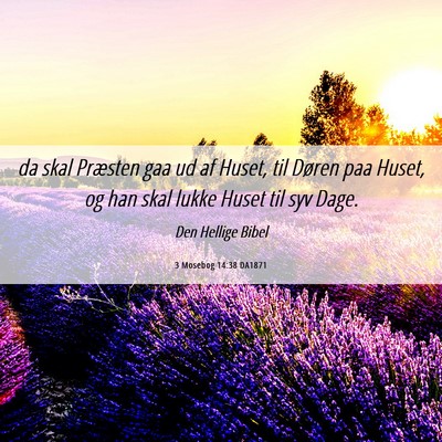 Picture 06 - 3 Mosebog 14:38 DA1871 - da skal Præsten gaa ud af Huset, til Døren paa - Bible Verse Picture