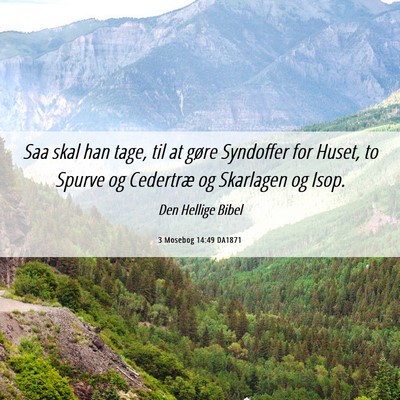 Picture 06 - 3 Mosebog 14:49 DA1871 - Saa skal han tage, til at gøre Syndoffer for - Bible Verse Picture