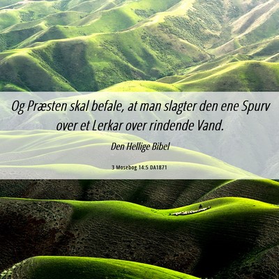 Picture 06 - 3 Mosebog 14:5 DA1871 - Og Præsten skal befale, at man slagter den ene - Bible Verse Picture