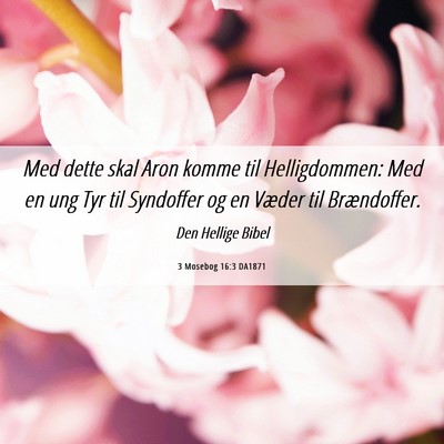 Picture 06 - 3 Mosebog 16:3 DA1871 - Med dette skal Aron komme til Helligdommen: Med - Bible Verse Picture