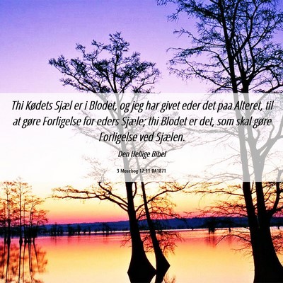 Picture 06 - 3 Mosebog 17:11 DA1871 - Thi Kødets Sjæl er i Blodet, og jeg har givet - Bible Verse Picture