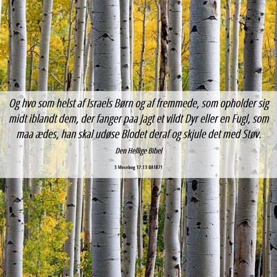 Picture 06 - 3 Mosebog 17:13 DA1871 - Og hvo som helst af Israels Børn og af fremmede, - Bible Verse Picture