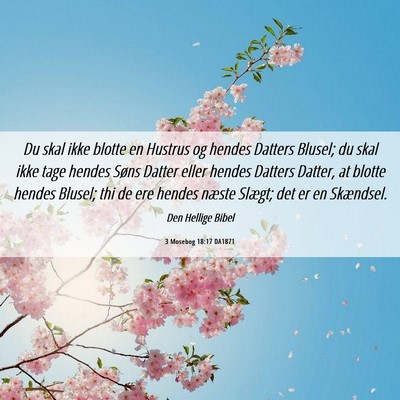 Picture 06 - 3 Mosebog 18:17 DA1871 - Du skal ikke blotte en Hustrus og hendes Datters - Bible Verse Picture