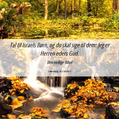 Picture 06 - 3 Mosebog 18:2 DA1871 - Tal til Israels Børn, og du skal sige til dem: - Bible Verse Picture
