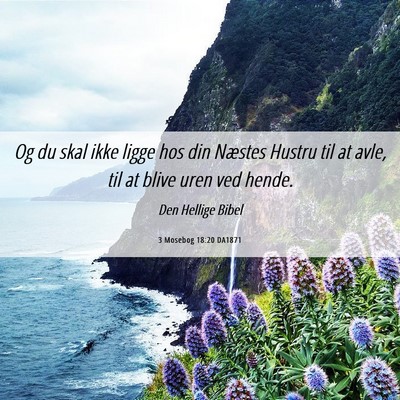 Picture 06 - 3 Mosebog 18:20 DA1871 - Og du skal ikke ligge hos din Næstes Hustru til - Bible Verse Picture