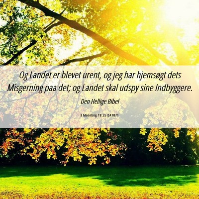 Picture 06 - 3 Mosebog 18:25 DA1871 - Og Landet er blevet urent, og jeg har hjemsøgt - Bible Verse Picture