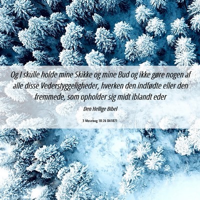 Picture 06 - 3 Mosebog 18:26 DA1871 - Og I skulle holde mine Skikke og mine Bud og ikke - Bible Verse Picture